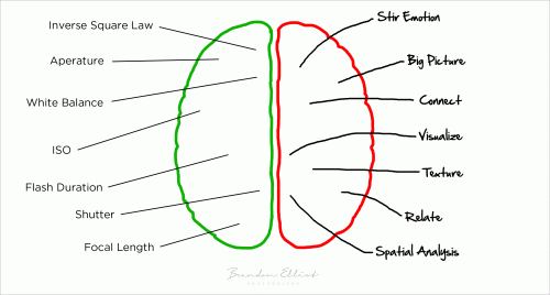 Brandon Elliot Brain Diagram - Vancouver Photographer