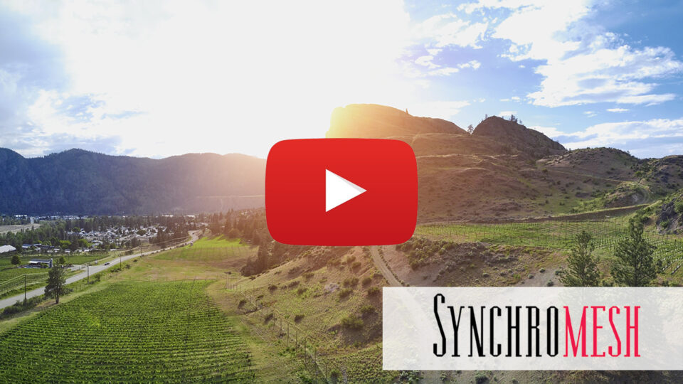 Synchromesh Winery, Okangan Vallery