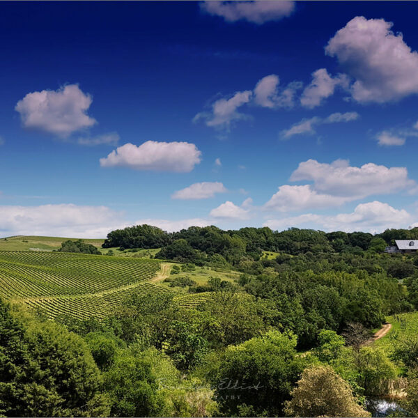 sonoma wedding, healdsburg california