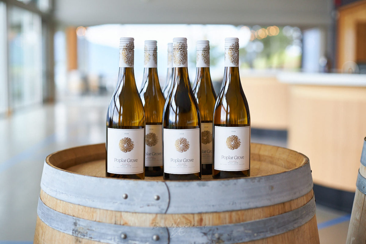 white wine bottle shot by penticton photographer of wine bottles