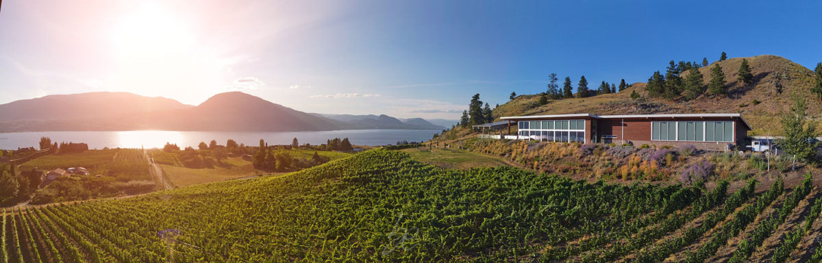 Professional Penticton Photographer captured sunset at Poplar grove winery