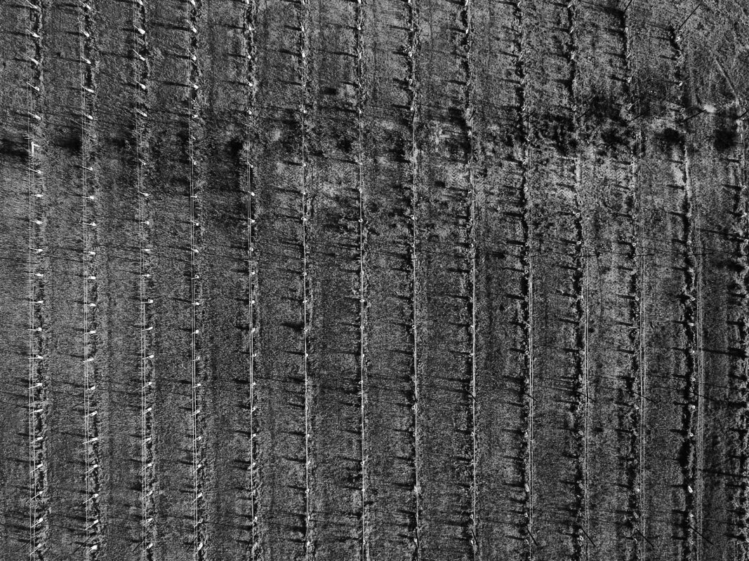 penticton drone photographer of winery